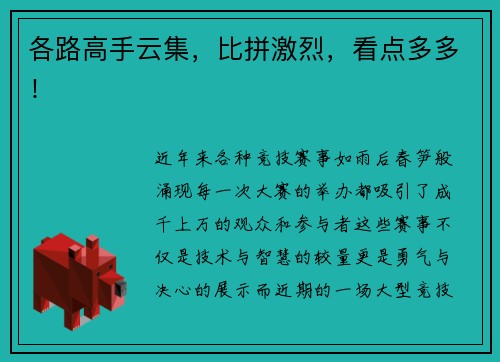 各路高手云集，比拼激烈，看点多多！