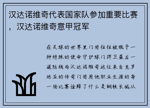 汉达诺维奇代表国家队参加重要比赛，汉达诺维奇意甲冠军
